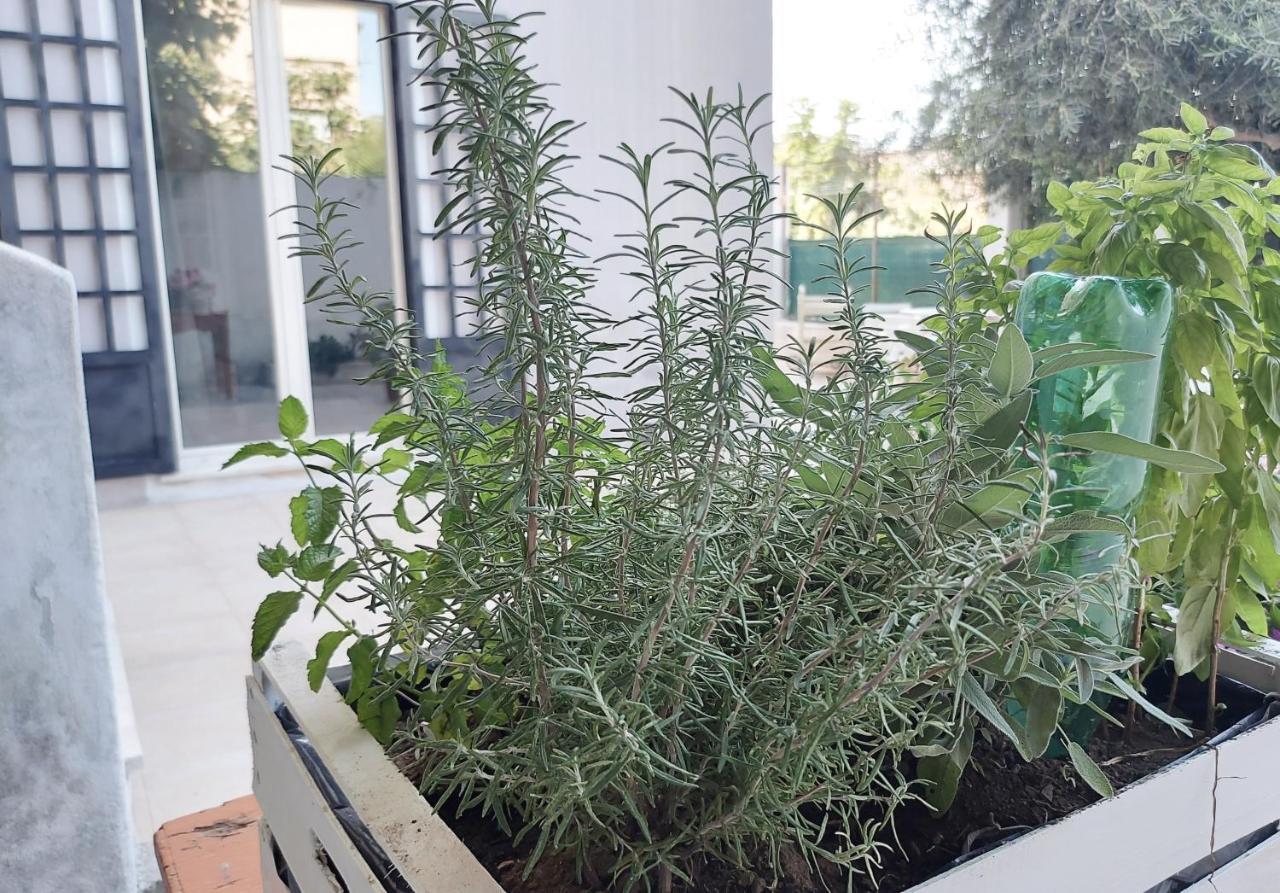 Casa Qanat, Relax In Centro Διαμέρισμα Παλέρμο Εξωτερικό φωτογραφία